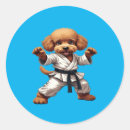 Search for funny karate stickers Kung fu