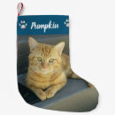 Search for tabby cat christmas stockings Kitty