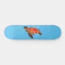 Search for tortoise comp skateboards Sea