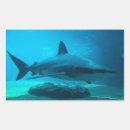Search for shark photo stickers Colour image