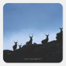 Search for deer stand stickers Outdoors