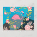 Search for cool birds postcards Trendy