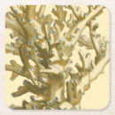 Search for algae home living Kelp