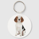 Search for beagle hound key rings Dogs