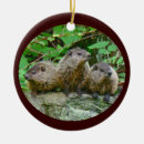 Search for woodchuck christmas tree decorations Rodent