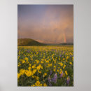 Search for spectacular posters Scenic
