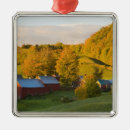 Search for agriculture christmas tree decorations Sun
