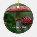 Search for fungus christmas tree decorations Mushroom