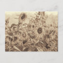 Search for vintage sepia postcards Retro