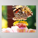 Search for beauties art Flower
