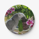 Search for parrot lover African grey