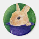 Search for magician magnets Bunny