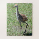 Search for wildlife photography puzzles Cute