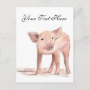 Search for cute baby animals postcards Farm