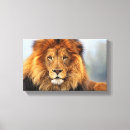 Search for african lion canvas prints Big cats