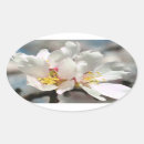 Search for almond blossom stickers Almonds
