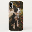 Search for bench iphone cases Dog