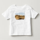 Search for sahara desert tshirts Fezzan