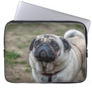 Search for pug laptop cases Animals