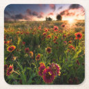 Search for blankets coasters Flower
