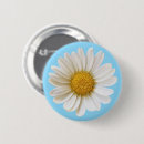 Search for flowering daisies badges White daisy