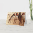 Search for barn swallows cards Wildlife