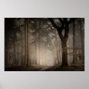 Search for foggy posters Photography