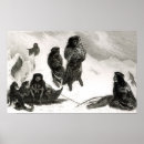 Search for snowstorm posters Male