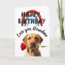 Search for dog grandma cards From the dog