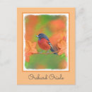 Search for oriole postcards Orange