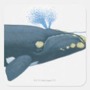 Search for whale illustration stickers Animal
