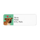 Search for bullying return address labels Bully breed