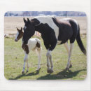 Search for filly mouse mats Ranch