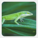 Search for green lizard stickers Animal