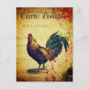 Search for rooster postcards Vintage