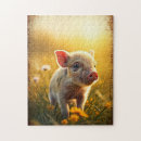 Search for piglet puzzles Nature