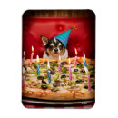 Search for funny magnets Candles