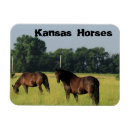 Search for pasture magnets Horses