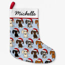 Search for dachshund home living Doxie