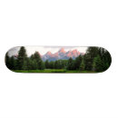 Search for reflective skateboards Tree