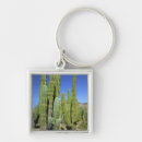 Search for pipe organs key rings Scenic