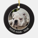 Search for photography christmas tree decorations Domestic animals
