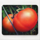 Search for tomato” mouse mats Tomatoes