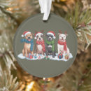 Search for pitbull christmas tree decorations Festive