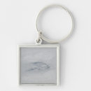 Search for bill in key rings Swirling