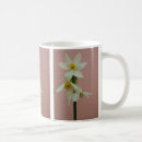 Search for daffodils pictures mugs Pretty
