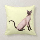 Search for siamese cat cushions Seal point