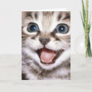 Search for cats meow cards Sweet