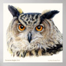 Search for ornithology art Fine