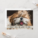Search for tell cards Cute
